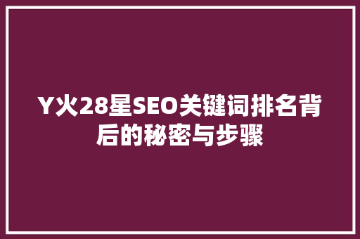 Y火28星SEO关键词排名背后的秘密与步骤