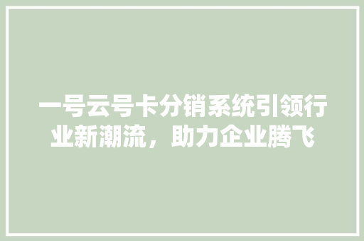一号云号卡分销系统引领行业新潮流，助力企业腾飞