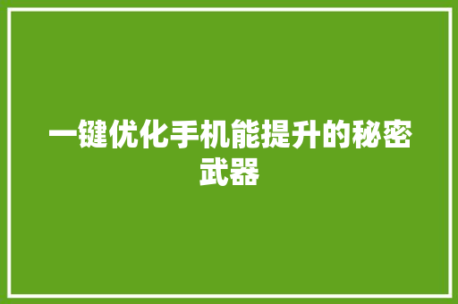 一键优化手机能提升的秘密武器