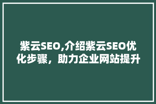 紫云SEO,介绍紫云SEO优化步骤，助力企业网站提升排名