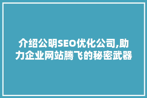 介绍公明SEO优化公司,助力企业网站腾飞的秘密武器  第1张