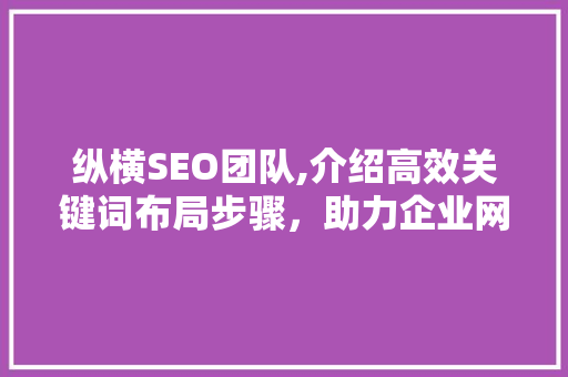 纵横SEO团队,介绍高效关键词布局步骤，助力企业网站优化