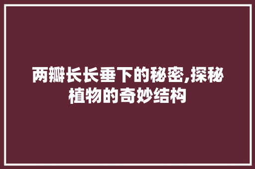 两瓣长长垂下的秘密,探秘植物的奇妙结构