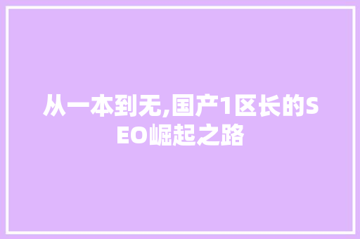 从一本到无,国产1区长的SEO崛起之路