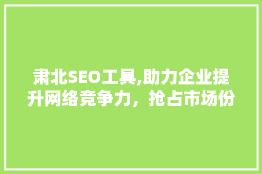 肃北SEO工具,助力企业提升网络竞争力，抢占市场份额