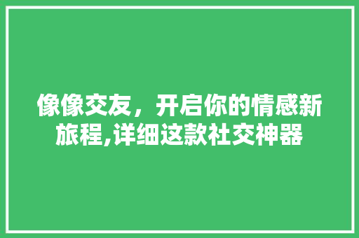 像像交友，开启你的情感新旅程,详细这款社交神器