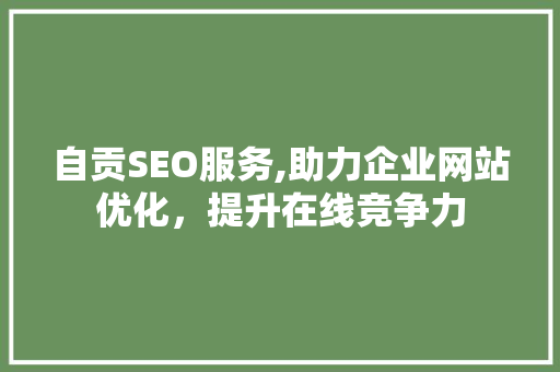 自贡SEO服务,助力企业网站优化，提升在线竞争力
