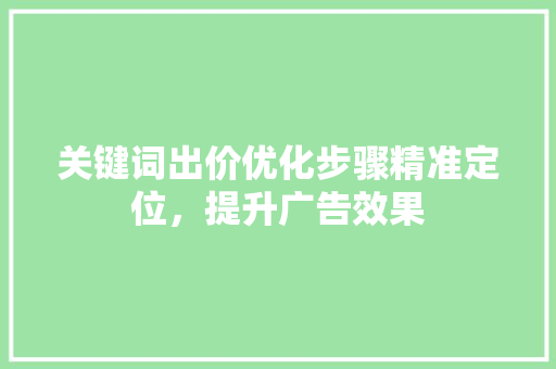 关键词出价优化步骤精准定位，提升广告效果