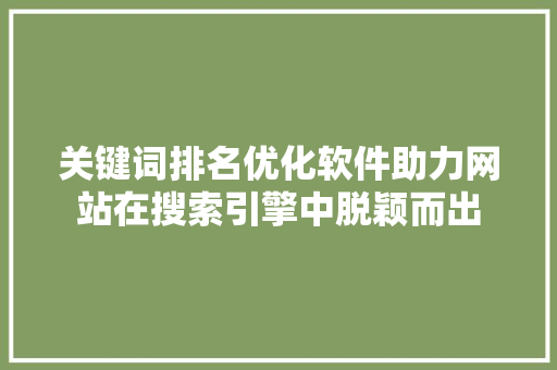 关键词排名优化软件助力网站在搜索引擎中脱颖而出