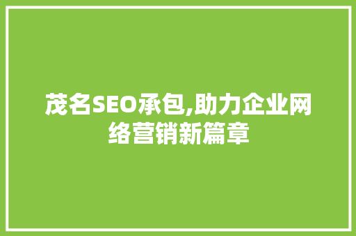 茂名SEO承包,助力企业网络营销新篇章