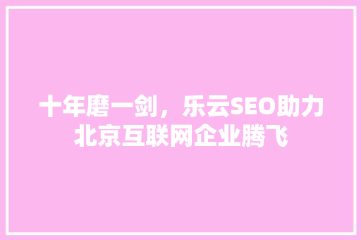 十年磨一剑，乐云SEO助力北京互联网企业腾飞