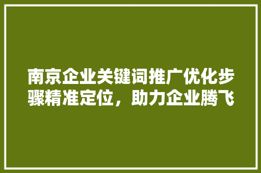南京企业关键词推广优化步骤精准定位，助力企业腾飞  第1张