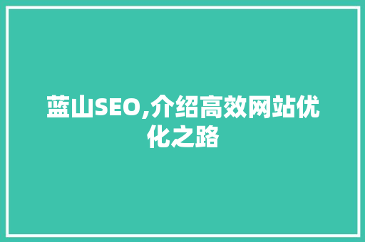 蓝山SEO,介绍高效网站优化之路