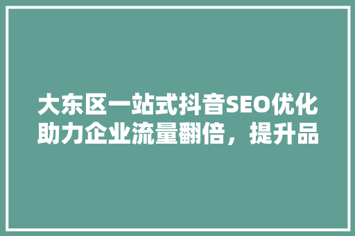 大东区一站式抖音SEO优化助力企业流量翻倍，提升品牌知名度