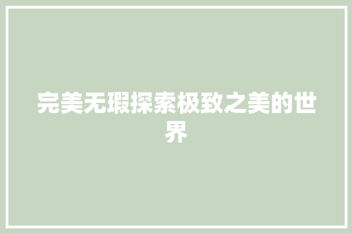 完美无瑕探索极致之美的世界