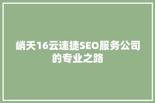 峭夭16云速捷SEO服务公司的专业之路