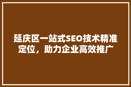 延庆区一站式SEO技术精准定位，助力企业高效推广