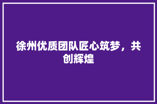 徐州优质团队匠心筑梦，共创辉煌
