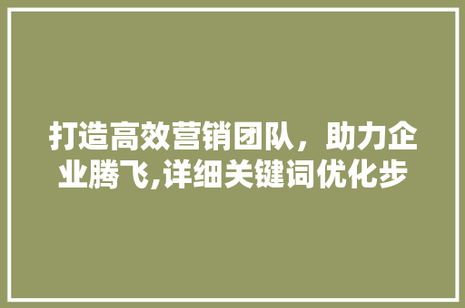 打造高效营销团队，助力企业腾飞,详细关键词优化步骤