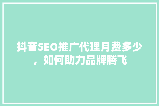 抖音SEO推广代理月费多少，如何助力品牌腾飞