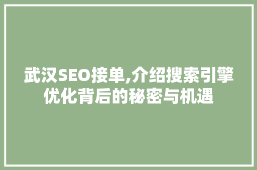 武汉SEO接单,介绍搜索引擎优化背后的秘密与机遇