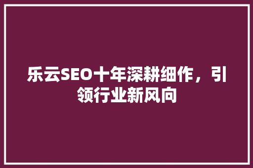 乐云SEO十年深耕细作，引领行业新风向