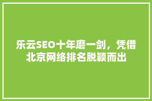 乐云SEO十年磨一剑，凭借北京网络排名脱颖而出