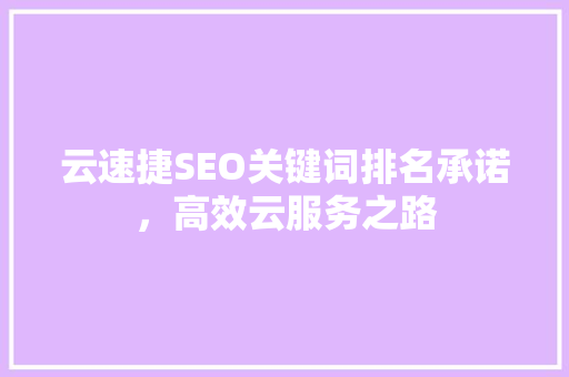 云速捷SEO关键词排名承诺，高效云服务之路