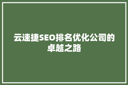云速捷SEO排名优化公司的卓越之路