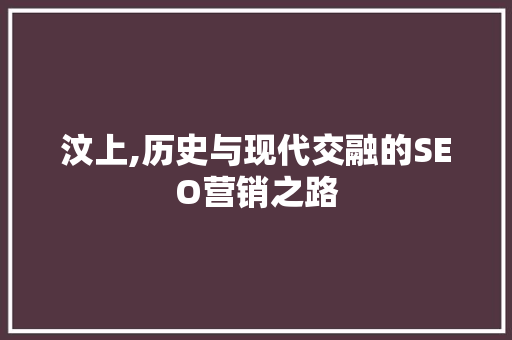 汶上,历史与现代交融的SEO营销之路