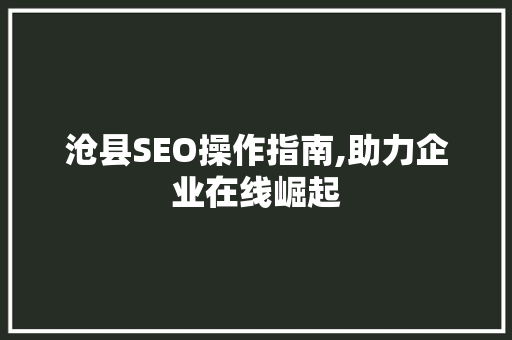 沧县SEO操作指南,助力企业在线崛起