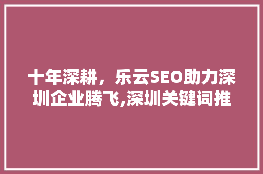 十年深耕，乐云SEO助力深圳企业腾飞,深圳关键词推广之路