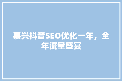 嘉兴抖音SEO优化一年，全年流量盛宴