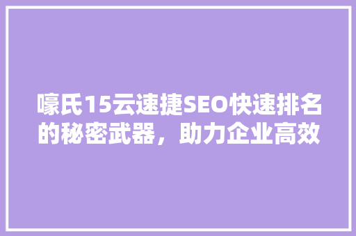 嚎氏15云速捷SEO快速排名的秘密武器，助力企业高效提升网站流量