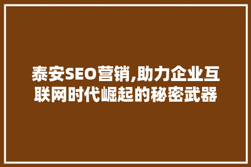 泰安SEO营销,助力企业互联网时代崛起的秘密武器