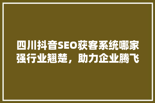 四川抖音SEO获客系统哪家强行业翘楚，助力企业腾飞