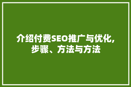 介绍付费SEO推广与优化,步骤、方法与方法  第1张