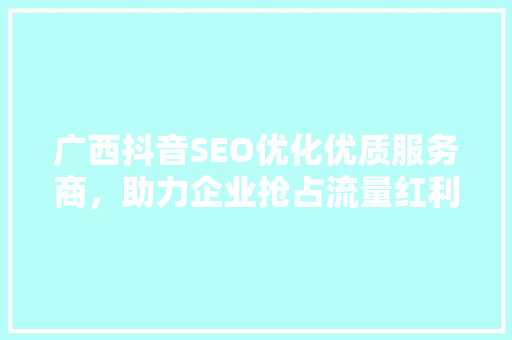 广西抖音SEO优化优质服务商，助力企业抢占流量红利