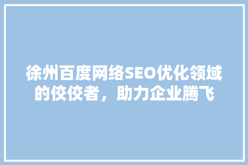 徐州百度网络SEO优化领域的佼佼者，助力企业腾飞