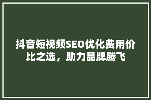 抖音短视频SEO优化费用价比之选，助力品牌腾飞