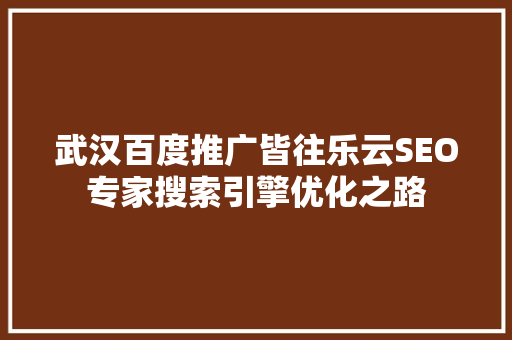 武汉百度推广皆往乐云SEO专家搜索引擎优化之路