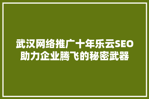 武汉网络推广十年乐云SEO助力企业腾飞的秘密武器