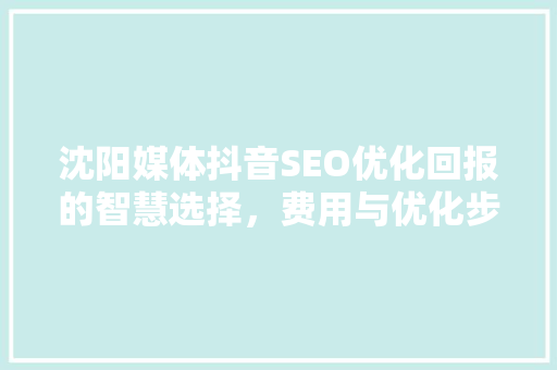 沈阳媒体抖音SEO优化回报的智慧选择，费用与优化步骤