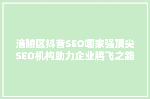 涪陵区抖音SEO哪家强顶尖SEO机构助力企业腾飞之路