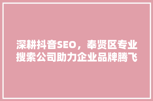 深耕抖音SEO，奉贤区专业搜索公司助力企业品牌腾飞