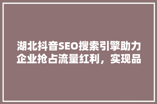 湖北抖音SEO搜索引擎助力企业抢占流量红利，实现品牌崛起