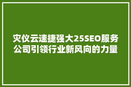 灾仪云速捷强大25SEO服务公司引领行业新风向的力量