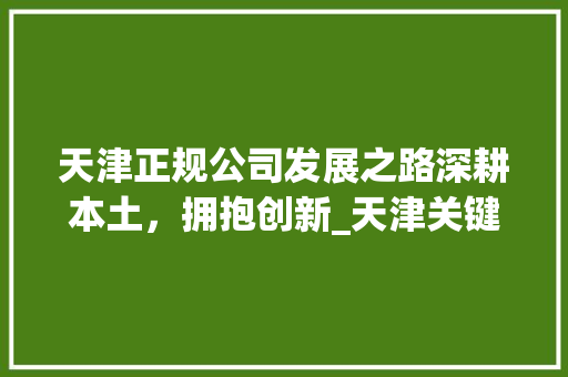 天津正规公司发展之路深耕本土，拥抱创新_天津关键词优化正规公司