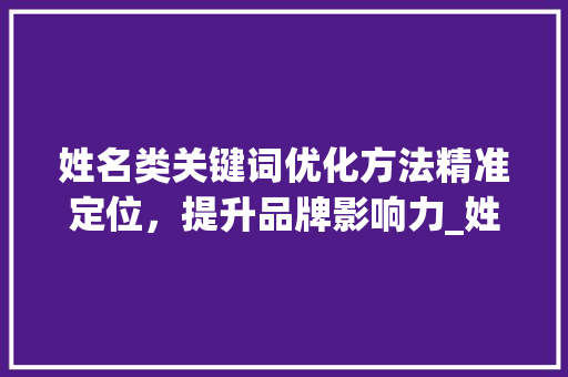姓名类关键词优化方法精准定位，提升品牌影响力_姓名类关键词优化方法