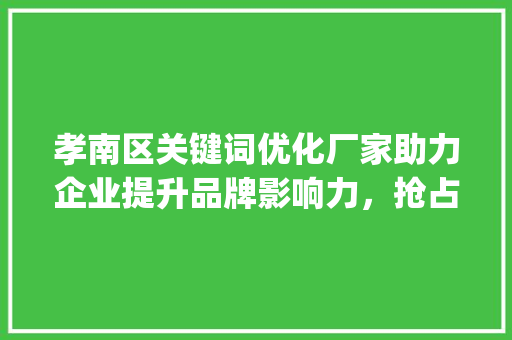 孝南区关键词优化厂家助力企业提升品牌影响力，抢占市场先机_孝南区关键词优化厂家